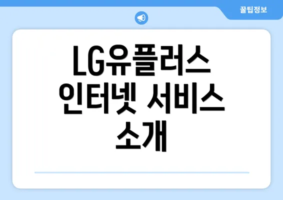 LG유플러스 인터넷 서비스 소개