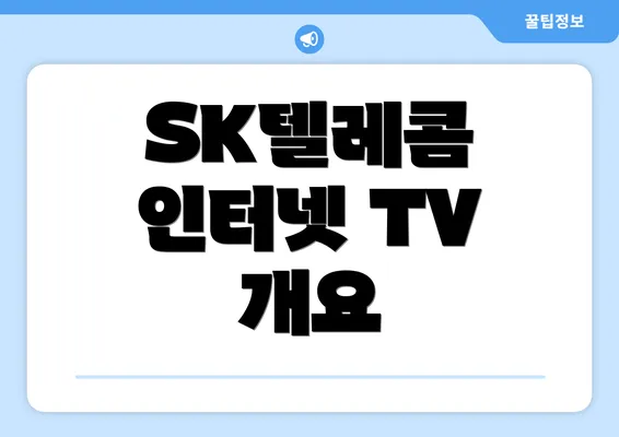 SK텔레콤 인터넷 TV 개요