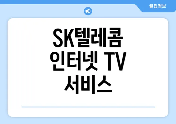 SK텔레콤 인터넷 TV 서비스