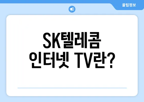 SK텔레콤 인터넷 TV란?