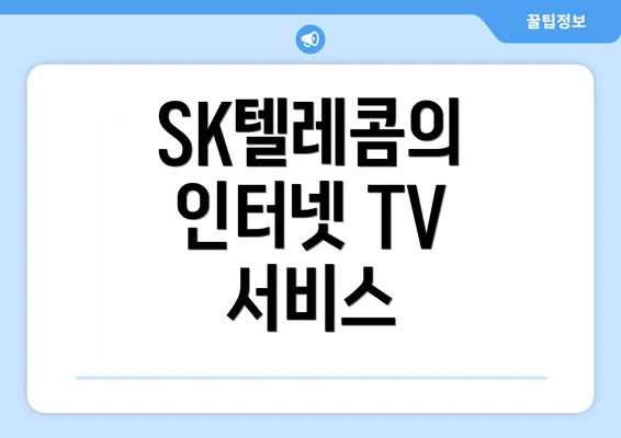 SK텔레콤의 인터넷 TV 서비스