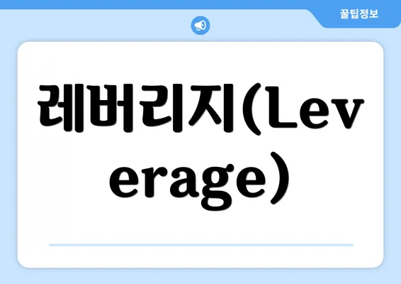 레버리지(Leverage)