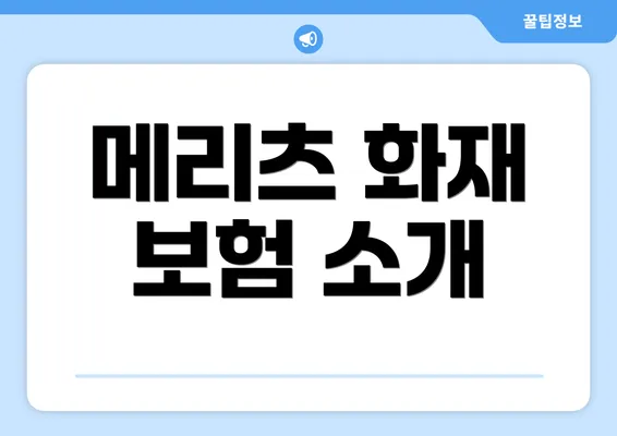 메리츠 화재 보험 소개