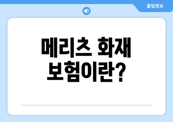 메리츠 화재 보험이란?