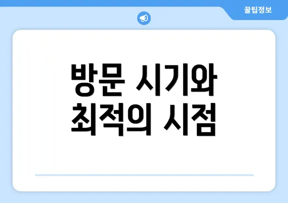 방문 시기와 최적의 시점