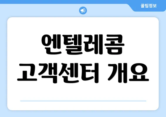 엔텔레콤 고객센터 개요