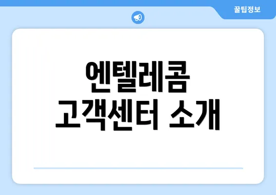 엔텔레콤 고객센터 소개