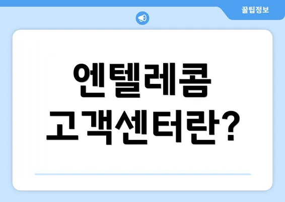 엔텔레콤 고객센터란?