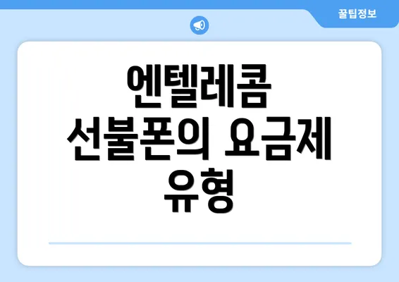 엔텔레콤 선불폰의 요금제 유형