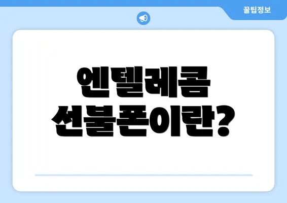 엔텔레콤 선불폰이란?