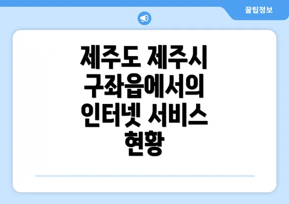 제주도 제주시 구좌읍에서의 인터넷 서비스 현황