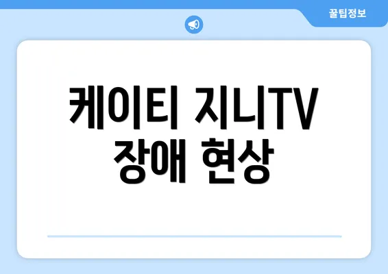 케이티 지니TV 장애 현상