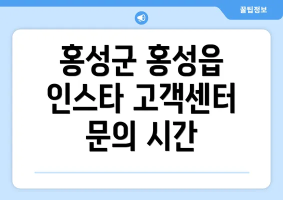 홍성군 홍성읍 인스타 고객센터 문의 시간