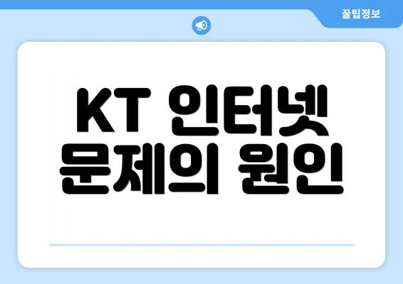 KT 인터넷 문제의 원인