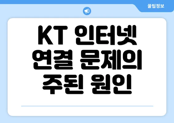 KT 인터넷 연결 문제의 주된 원인
