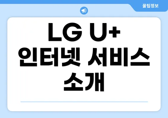 LG U+ 인터넷 서비스 소개