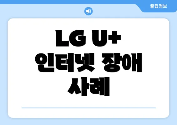 LG U+ 인터넷 장애 사례