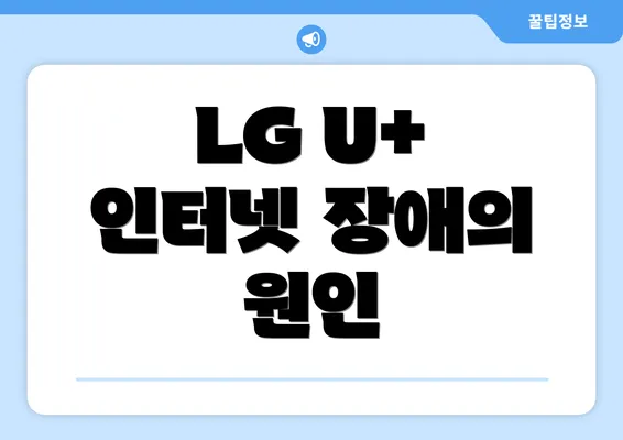 LG U+ 인터넷 장애의 원인