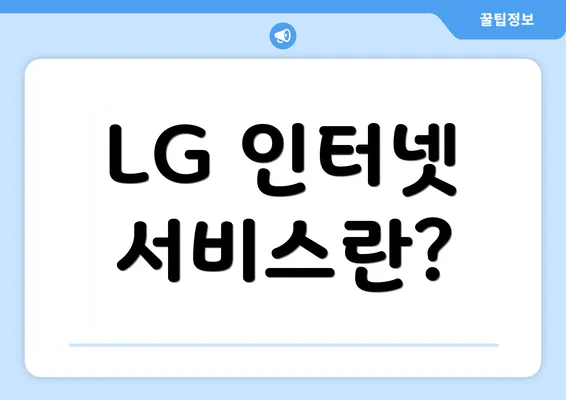 LG 인터넷 서비스란?