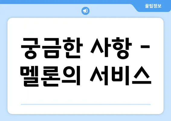 궁금한 사항 - 멜론의 서비스