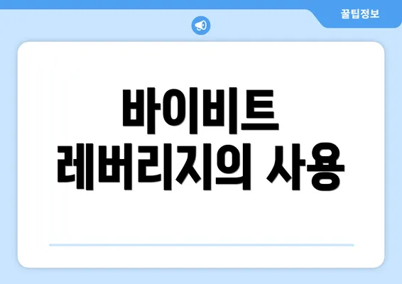 바이비트 레버리지의 사용