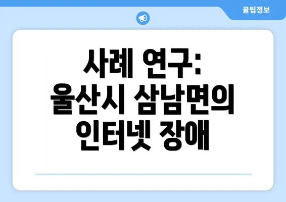 사례 연구: 울산시 삼남면의 인터넷 장애