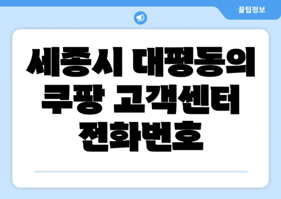 세종시 대평동의 쿠팡 고객센터 전화번호