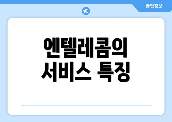 엔텔레콤의 서비스 특징