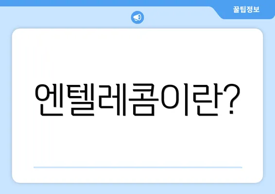 엔텔레콤이란?