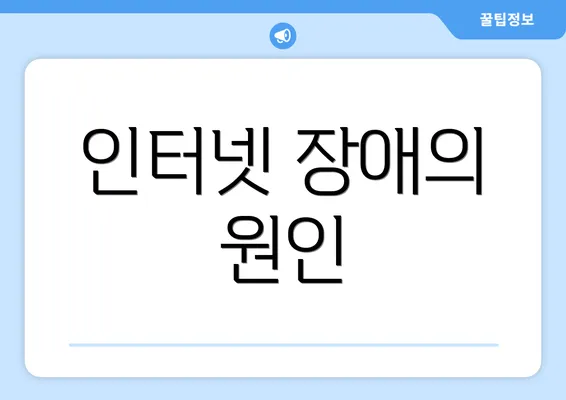 인터넷 장애의 원인