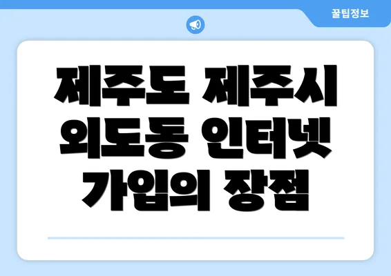 제주도 제주시 외도동 인터넷 가입의 장점