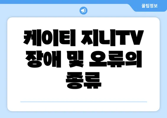 케이티 지니TV 장애 및 오류의 종류