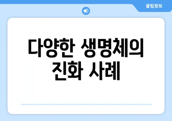 다양한 생명체의 진화 사례