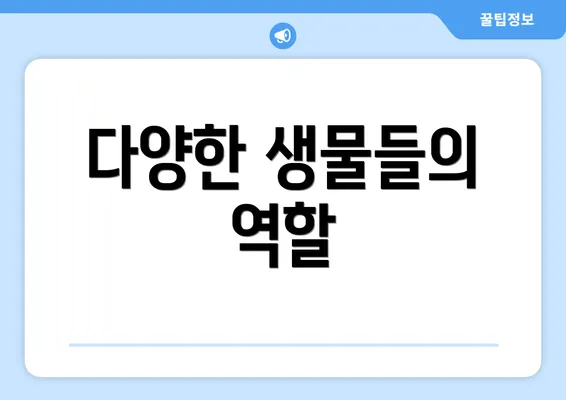 다양한 생물들의 역할
