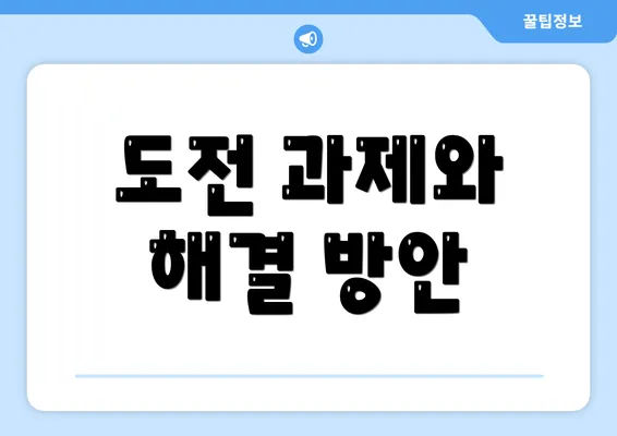 도전 과제와 해결 방안