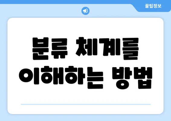 분류 체계를 이해하는 방법