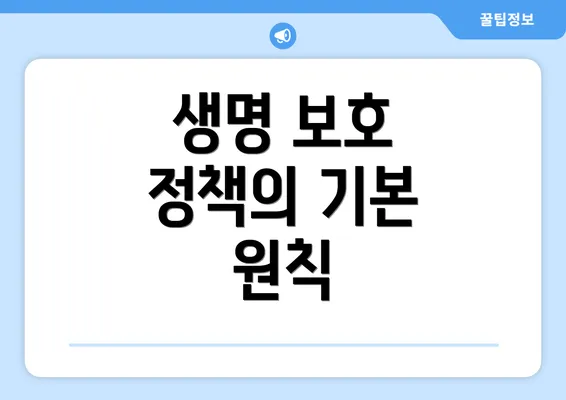 생명 보호 정책의 기본 원칙