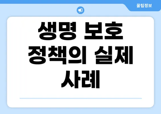 생명 보호 정책의 실제 사례