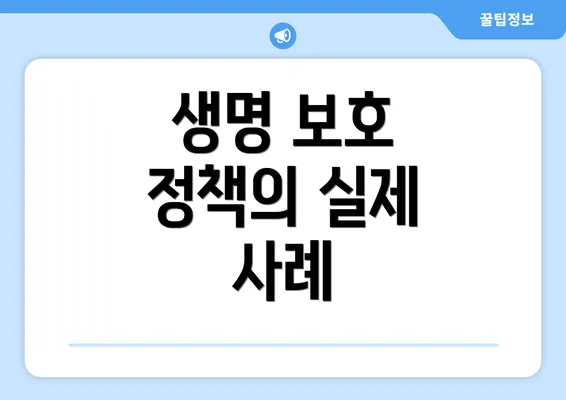 생명 보호 정책의 실제 사례