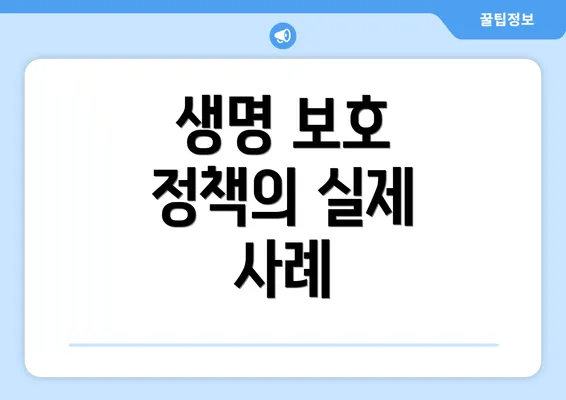 생명 보호 정책의 실제 사례