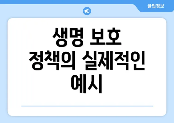 생명 보호 정책의 실제적인 예시