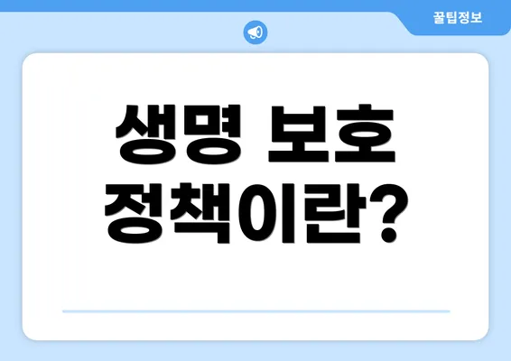 생명 보호 정책이란?