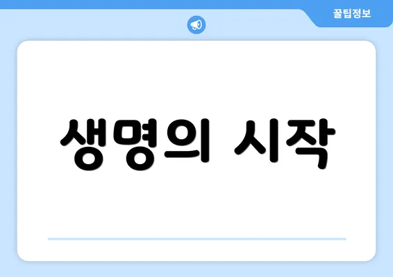 생명의 시작