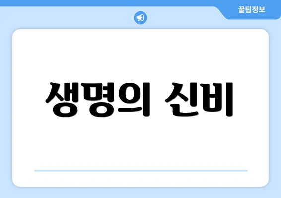 생명의 신비