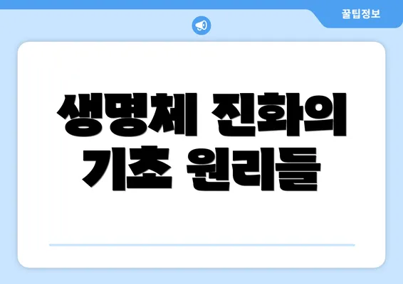 생명체 진화의 기초 원리들