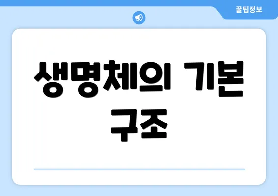 생명체의 기본 구조