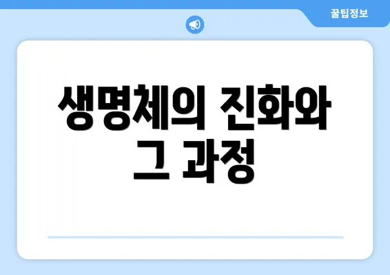 생명체의 진화와 그 과정