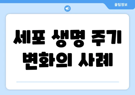 세포 생명 주기 변화의 사례