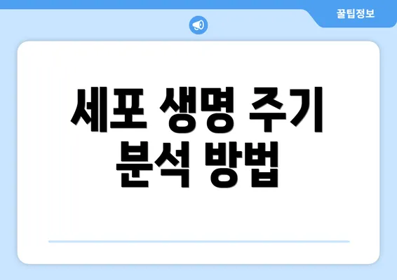 세포 생명 주기 분석 방법