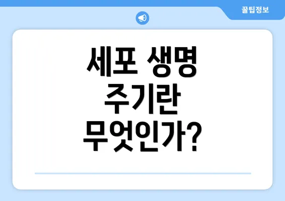 세포 생명 주기란 무엇인가?